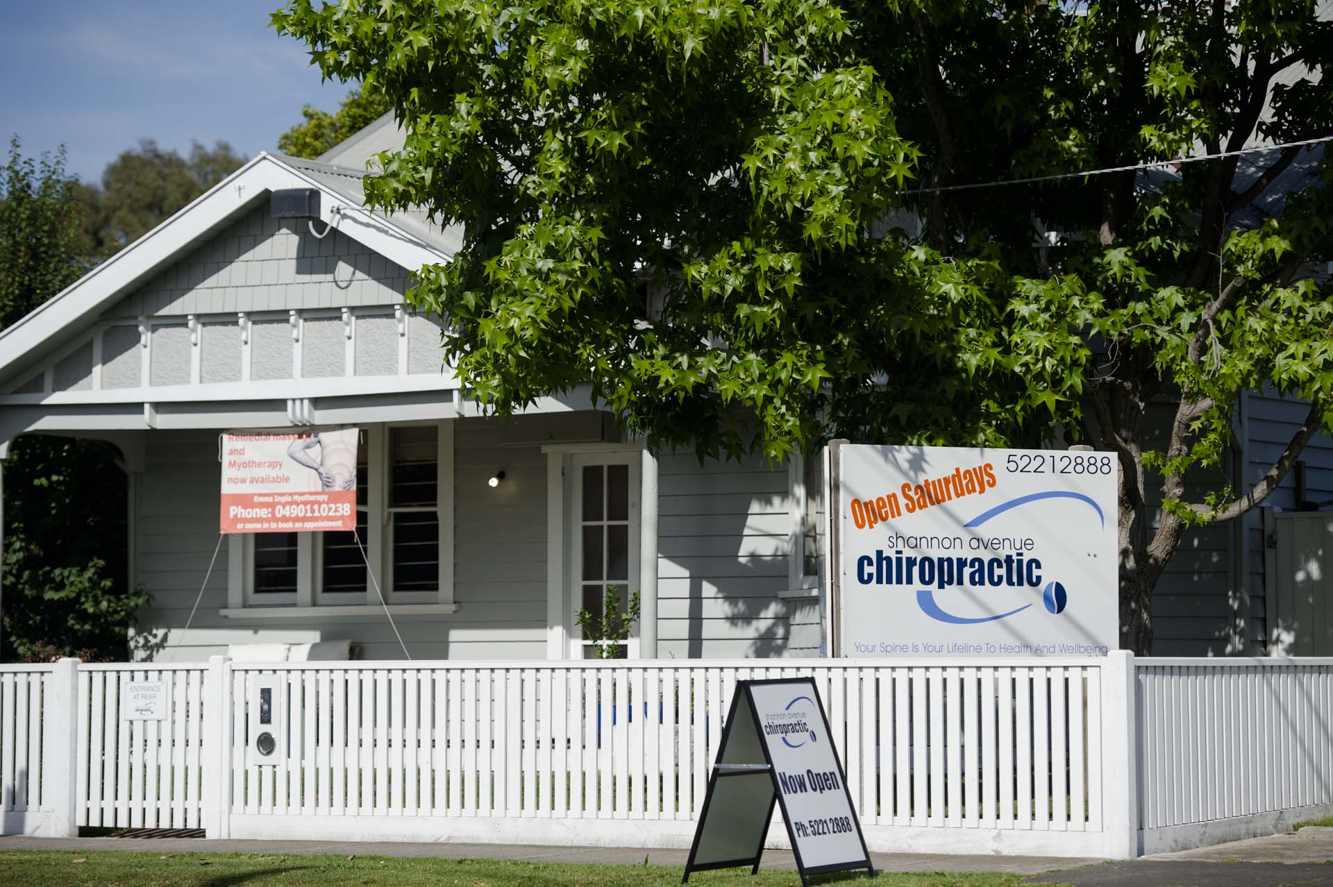 Shannon Ave Chiro